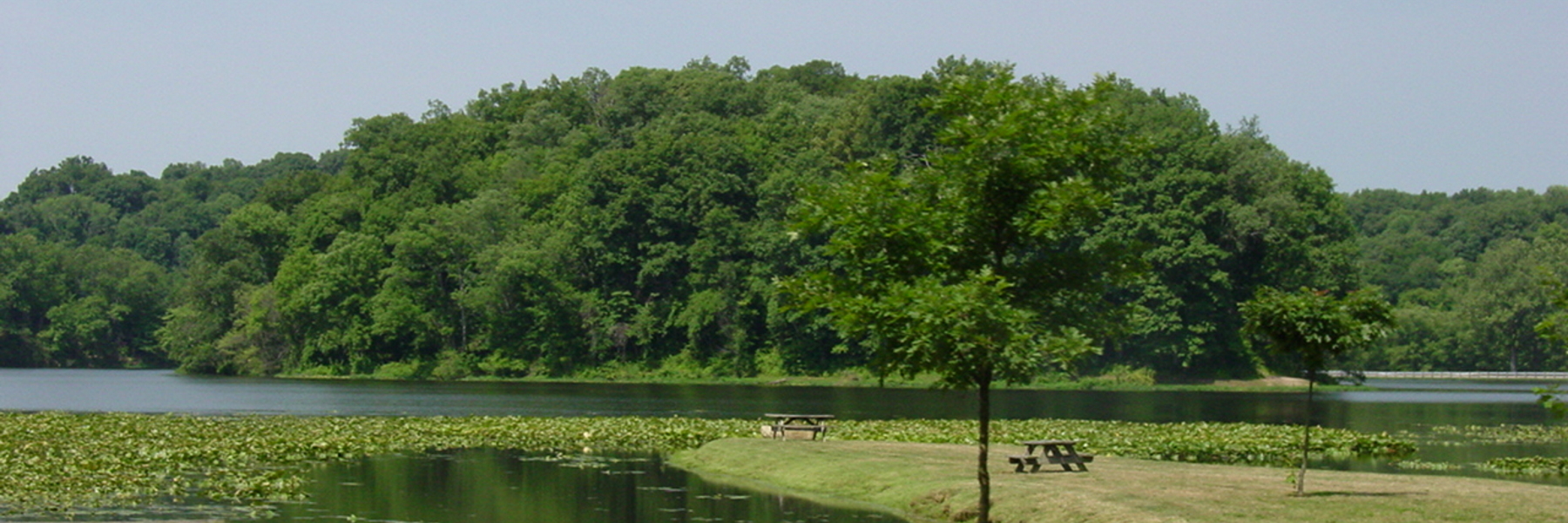 Picnic Table Peninsula